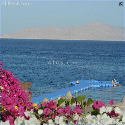 Savoy Resort 36